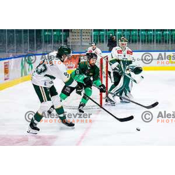 Nik Simsic of SZ Olimpija celebrates victory at IceHL 2025/2026 ice-hockey match between SZ Olimpija and FTC Ferencvaros in Tivoli Hall, Ljubljana, Slovenia on November 30, 2025