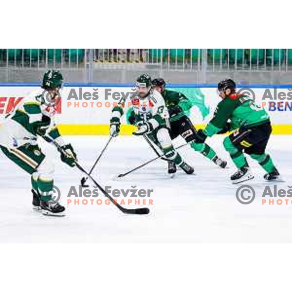 of SZ Olimpija in action during IceHL 2025/2026 ice-hockey match between SZ Olimpija and FTC Ferencvaros in Tivoli Hall, Ljubljana, Slovenia on November 30, 2025
