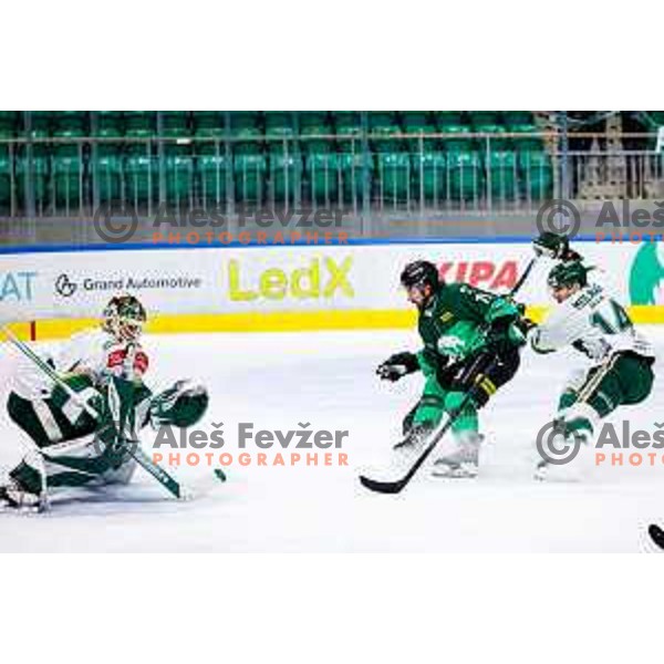 of SZ Olimpija in action during IceHL 2025/2026 ice-hockey match between SZ Olimpija and FTC Ferencvaros in Tivoli Hall, Ljubljana, Slovenia on November 30, 2025