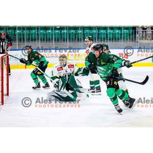 Robert Sabolic of SZ Olimpija in action during IceHL 2025/2026 ice-hockey match between SZ Olimpija and FTC Ferencvaros in Tivoli Hall, Ljubljana, Slovenia on November 30, 2025
