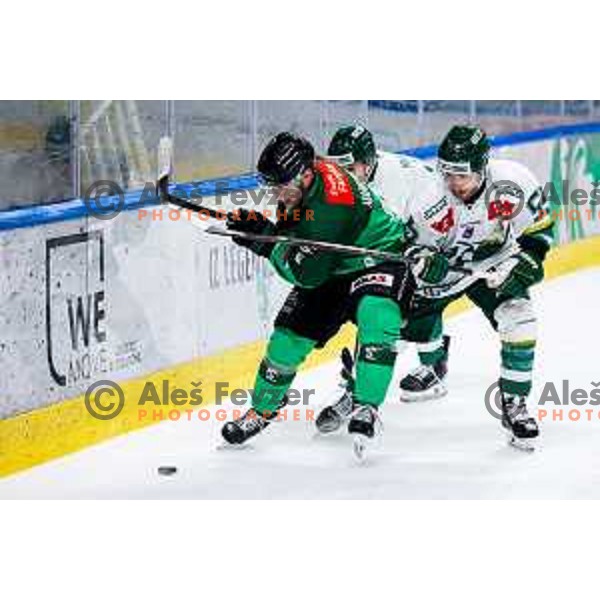 Marcel Mahkovec of SZ Olimpija in action at IceHL 2025/2026 ice-hockey match between SZ Olimpija and FTC Ferencvaros in Tivoli Hall, Ljubljana, Slovenia on November 30, 2025