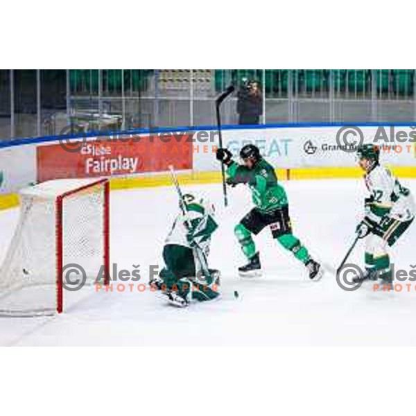 of SZ Olimpija in action during IceHL 2025/2026 ice-hockey match between SZ Olimpija and FTC Ferencvaros in Tivoli Hall, Ljubljana, Slovenia on November 30, 2025