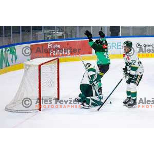 of SZ Olimpija in action during IceHL 2025/2026 ice-hockey match between SZ Olimpija and FTC Ferencvaros in Tivoli Hall, Ljubljana, Slovenia on November 30, 2025