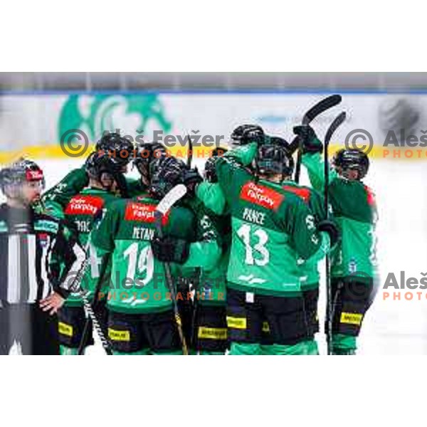 of SZ Olimpija in action during IceHL 2025/2026 ice-hockey match between SZ Olimpija and FTC Ferencvaros in Tivoli Hall, Ljubljana, Slovenia on November 30, 2025