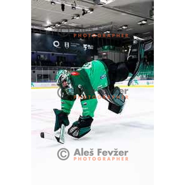 Lukas Horak of SZ Olimpija celebrates victory at IceHL 2025/2026 ice-hockey match between SZ Olimpija and FTC Ferencvaros in Tivoli Hall, Ljubljana, Slovenia on November 30, 2025