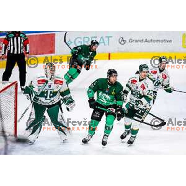 Robert Sabolic of SZ Olimpija in action during IceHL 2025/2026 ice-hockey match between SZ Olimpija and FTC Ferencvaros in Tivoli Hall, Ljubljana, Slovenia on November 30, 2025
