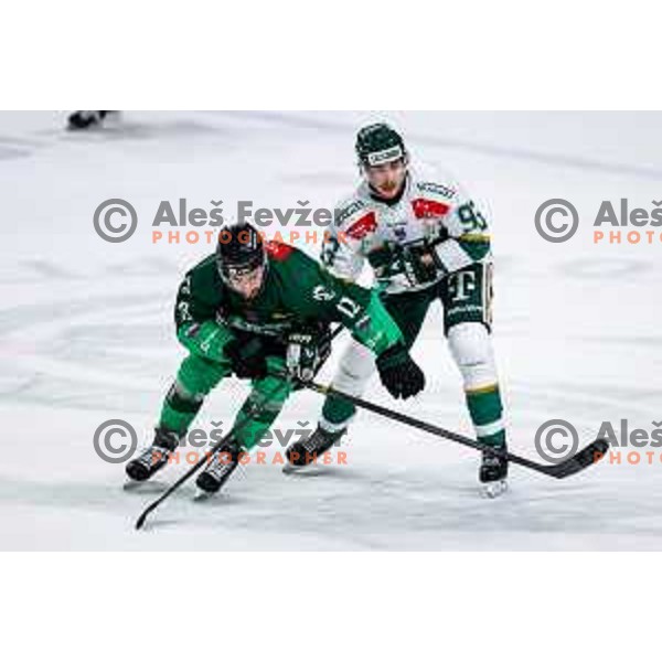 Nik Simsic of SZ Olimpija celebrates victory at IceHL 2025/2026 ice-hockey match between SZ Olimpija and FTC Ferencvaros in Tivoli Hall, Ljubljana, Slovenia on November 30, 2025