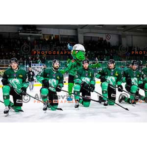 of SZ Olimpija in action during IceHL 2025/2026 ice-hockey match between SZ Olimpija and FTC Ferencvaros in Tivoli Hall, Ljubljana, Slovenia on November 30, 2025