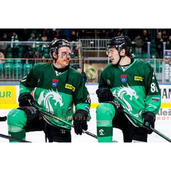 of SZ Olimpija in action during IceHL 2025/2026 ice-hockey match between SZ Olimpija and FTC Ferencvaros in Tivoli Hall, Ljubljana, Slovenia on November 30, 2025