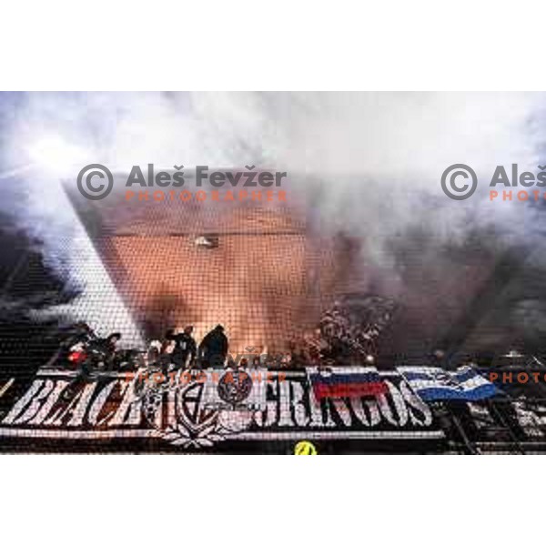 Black Gringos during Pivovarna Union Slovenian Cup 2025/26 football match between NK Mura and NK Nafta 1903 in Fazanerija, Murska Sobota, Slovenia on December 3, 2025. Photo: Jure Banfi