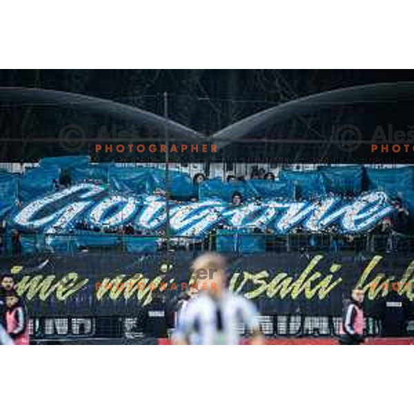 Gorgone during Pivovarna Union Slovenian Cup 2025/26 football match between NK Mura and NK Nafta 1903 in Fazanerija, Murska Sobota, Slovenia on December 3, 2025. Photo: Jure Banfi