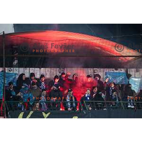 Gorgone during Pivovarna Union Slovenian Cup 2025/26 football match between NK Mura and NK Nafta 1903 in Fazanerija, Murska Sobota, Slovenia on December 3, 2025. Photo: Jure Banfi