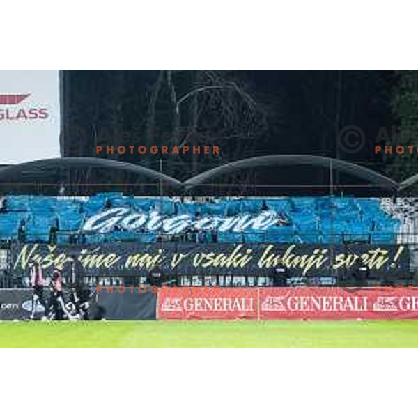 Gorgone during Pivovarna Union Slovenian Cup 2025/26 football match between NK Mura and NK Nafta 1903 in Fazanerija, Murska Sobota, Slovenia on December 3, 2025. Photo: Jure Banfi