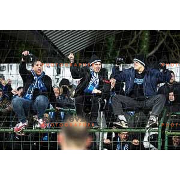 Gorgone celebrate victory after Pivovarna Union Slovenian Cup 2025/26 football match between NK Mura and NK Nafta 1903 in Fazanerija, Murska Sobota, Slovenia on December 3, 2025. Photo: Jure Banfi