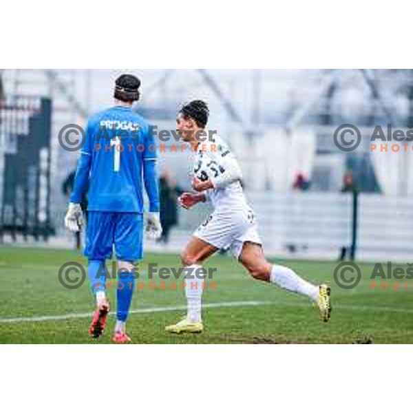 Stanislav Krapukhin and Gasper Petek in action during Pivovarna Union Slovenian Cup quarter-final football match between Kalcer Radomlje and Primorje in Radomlje Sports Park, Slovenia on December 3, 2025