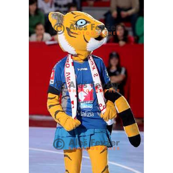 Krim Tigress at handball match Krim Mercator (SLO)- Metz Handball (FRA) in round2 of EHF Women\'s Championsleague, played in Ljubljana, Slovenia 9.11.2008. Metz Handball won 31:26 