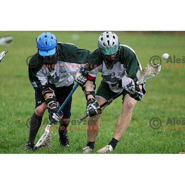at friendly lacrosse match Ljubljana Dragons (Slovenia)- Graz Gladiators (Austria), played in Ljubljana 8.11.2008. Ljubljana Dragons won 9:5 