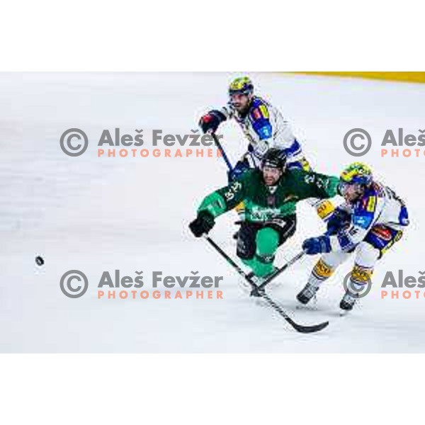 of SZ Olimpija in action during IceHL 2025/2026 ice-hockey match between SZ Olimpija and VSV in Tivoli Hall, Ljubljana, Slovenia on December 5, 2025