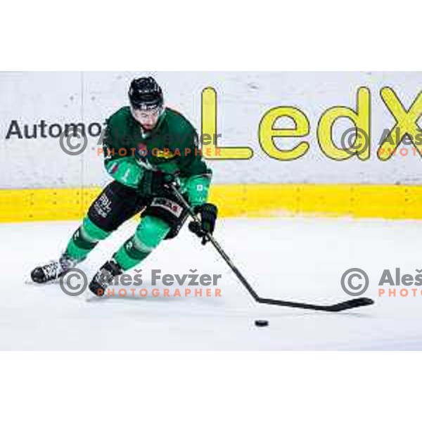 of SZ Olimpija in action during IceHL 2025/2026 ice-hockey match between SZ Olimpija and VSV in Tivoli Hall, Ljubljana, Slovenia on December 5, 2025