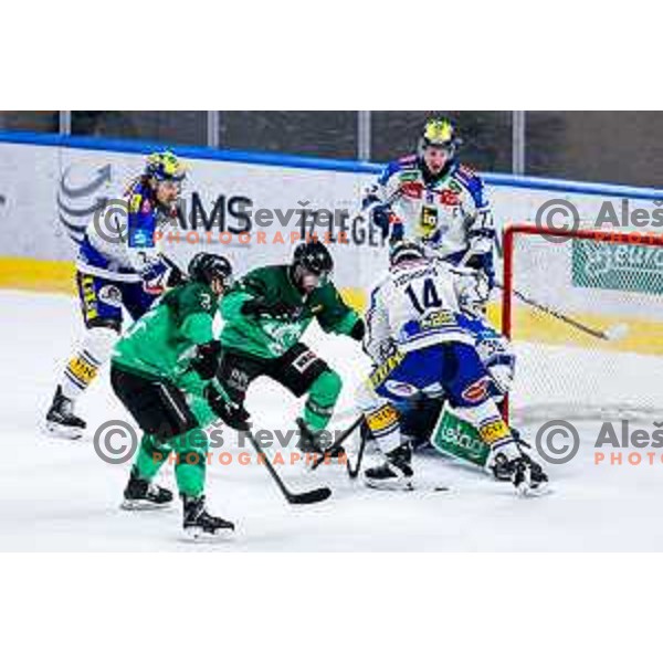 of SZ Olimpija in action during IceHL 2025/2026 ice-hockey match between SZ Olimpija and VSV in Tivoli Hall, Ljubljana, Slovenia on December 5, 2025