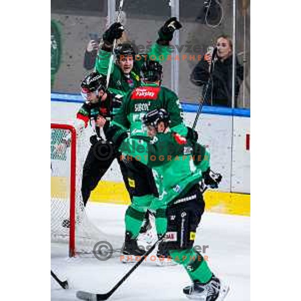 of SZ Olimpija in action during IceHL 2025/2026 ice-hockey match between SZ Olimpija and VSV in Tivoli Hall, Ljubljana, Slovenia on December 5, 2025