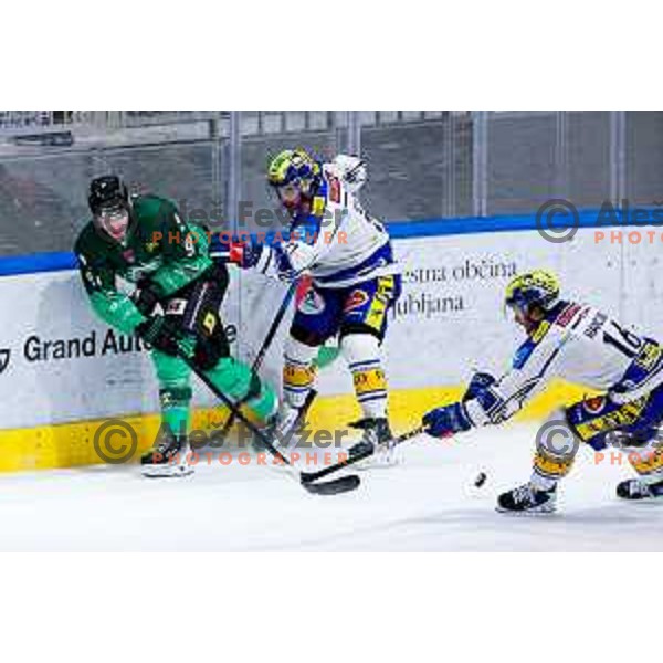 of SZ Olimpija in action during IceHL 2025/2026 ice-hockey match between SZ Olimpija and VSV in Tivoli Hall, Ljubljana, Slovenia on December 5, 2025