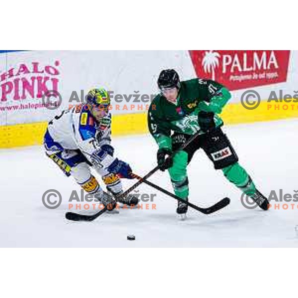 of SZ Olimpija in action during IceHL 2025/2026 ice-hockey match between SZ Olimpija and VSV in Tivoli Hall, Ljubljana, Slovenia on December 5, 2025