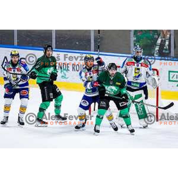of SZ Olimpija in action during IceHL 2025/2026 ice-hockey match between SZ Olimpija and VSV in Tivoli Hall, Ljubljana, Slovenia on December 5, 2025