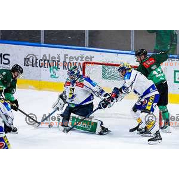 of SZ Olimpija in action during IceHL 2025/2026 ice-hockey match between SZ Olimpija and VSV in Tivoli Hall, Ljubljana, Slovenia on December 5, 2025