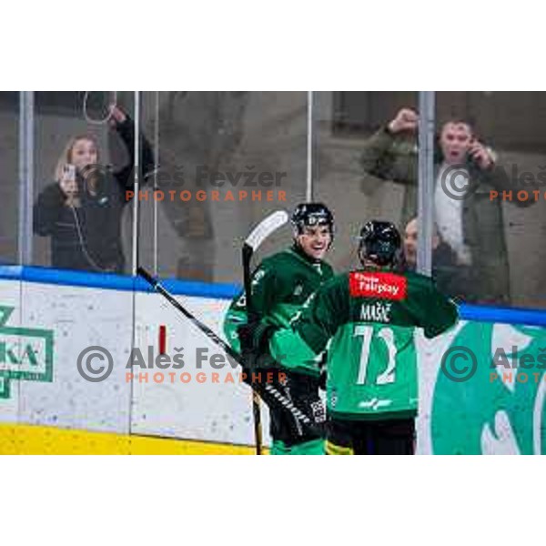 of SZ Olimpija in action during IceHL 2025/2026 ice-hockey match between SZ Olimpija and VSV in Tivoli Hall, Ljubljana, Slovenia on December 5, 2025