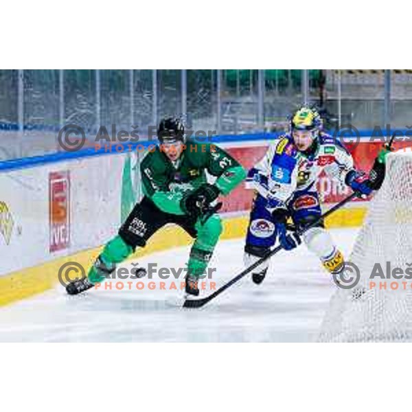 of SZ Olimpija in action during IceHL 2025/2026 ice-hockey match between SZ Olimpija and VSV in Tivoli Hall, Ljubljana, Slovenia on December 5, 2025