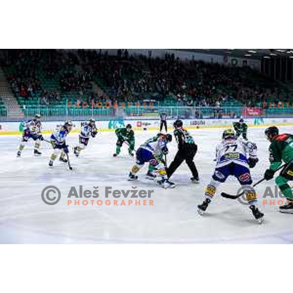 of SZ Olimpija in action during IceHL 2025/2026 ice-hockey match between SZ Olimpija and VSV in Tivoli Hall, Ljubljana, Slovenia on December 5, 2025