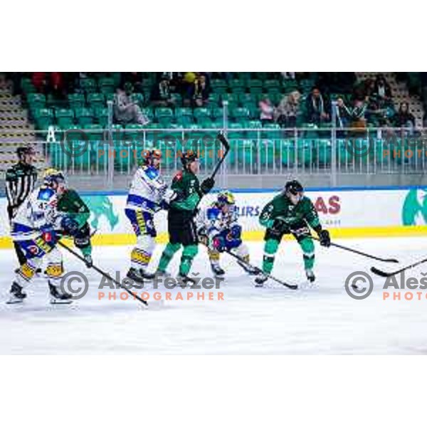 of SZ Olimpija in action during IceHL 2025/2026 ice-hockey match between SZ Olimpija and VSV in Tivoli Hall, Ljubljana, Slovenia on December 5, 2025