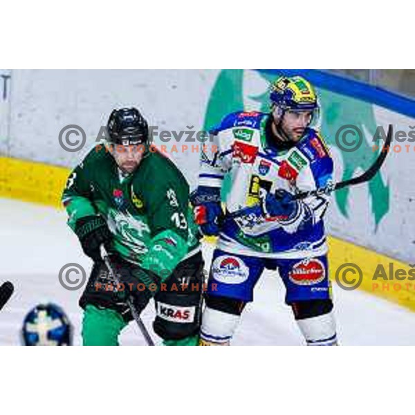 of SZ Olimpija in action during IceHL 2025/2026 ice-hockey match between SZ Olimpija and VSV in Tivoli Hall, Ljubljana, Slovenia on December 5, 2025