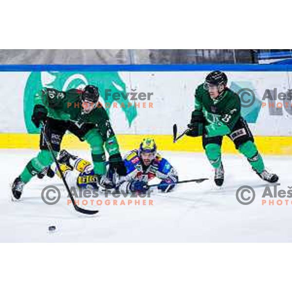 of SZ Olimpija in action during IceHL 2025/2026 ice-hockey match between SZ Olimpija and VSV in Tivoli Hall, Ljubljana, Slovenia on December 5, 2025