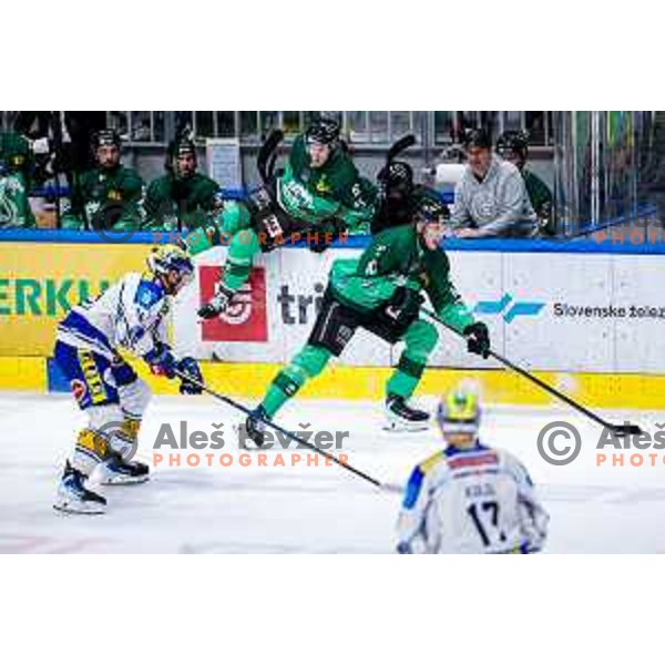 of SZ Olimpija in action during IceHL 2025/2026 ice-hockey match between SZ Olimpija and VSV in Tivoli Hall, Ljubljana, Slovenia on December 5, 2025