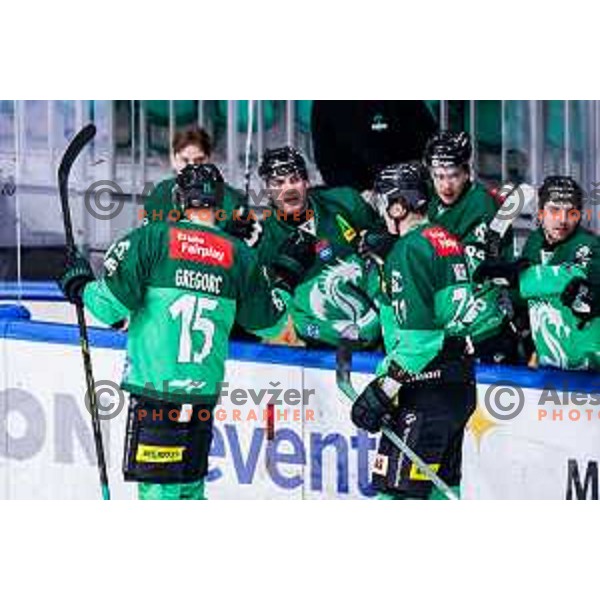 of SZ Olimpija in action during IceHL 2025/2026 ice-hockey match between SZ Olimpija and VSV in Tivoli Hall, Ljubljana, Slovenia on December 5, 2025
