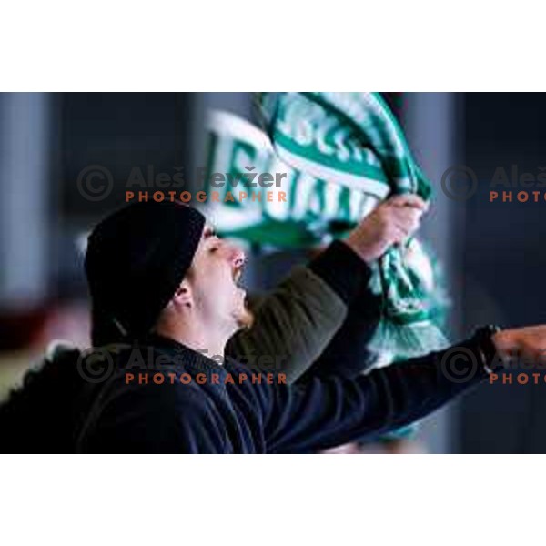 of SZ Olimpija in action during IceHL 2025/2026 ice-hockey match between SZ Olimpija and VSV in Tivoli Hall, Ljubljana, Slovenia on December 5, 2025