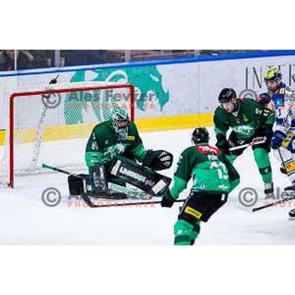 of SZ Olimpija in action during IceHL 2025/2026 ice-hockey match between SZ Olimpija and VSV in Tivoli Hall, Ljubljana, Slovenia on December 5, 2025