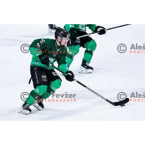 of SZ Olimpija in action during IceHL 2025/2026 ice-hockey match between SZ Olimpija and VSV in Tivoli Hall, Ljubljana, Slovenia on December 5, 2025