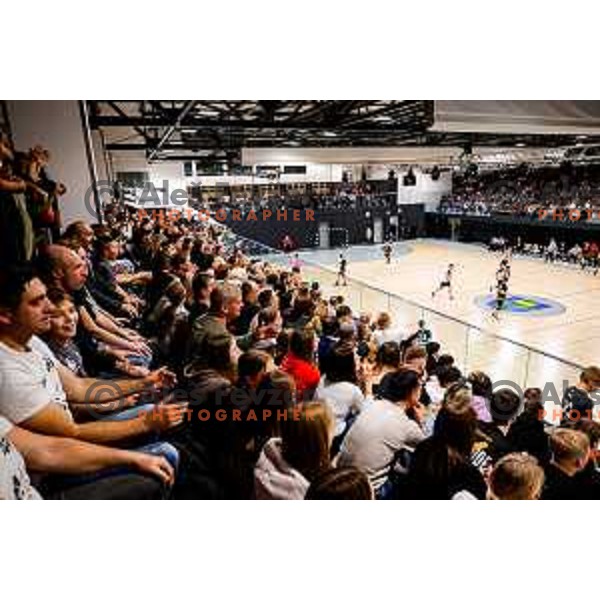 in action during quarter-final of Slovenian Handball Cup match between Trimo Trebnje and Gorenje Velenje in Trebnje, Slovenia on December 10, 2025