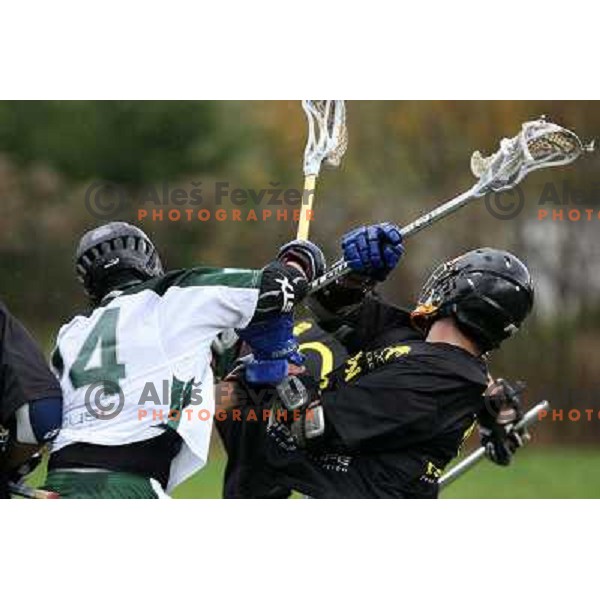 at friendly lacrosse match Ljubljana Dragons (Slovenia)- Graz Gladiators (Austria), played in Ljubljana 8.11.2008. Ljubljana Dragons won 9:5 