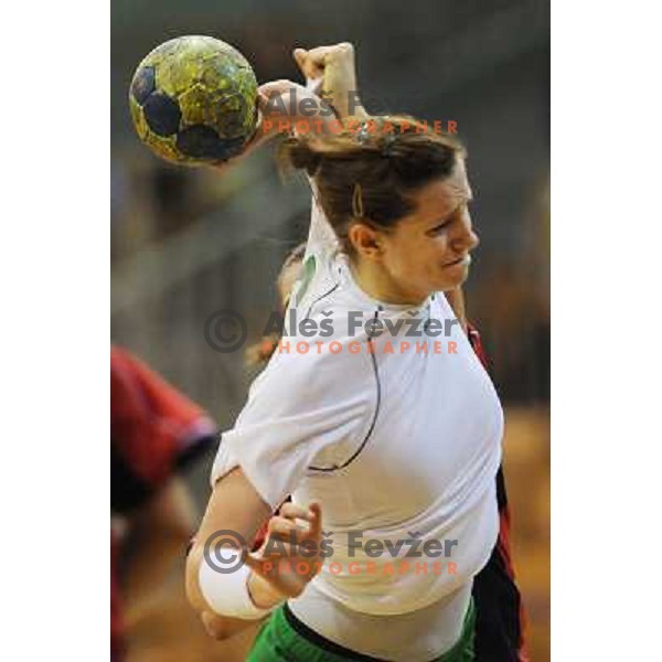 Gros at handball match RK Olimpija - ZRK Celje Celjske Mesnine, 15.11.2008 