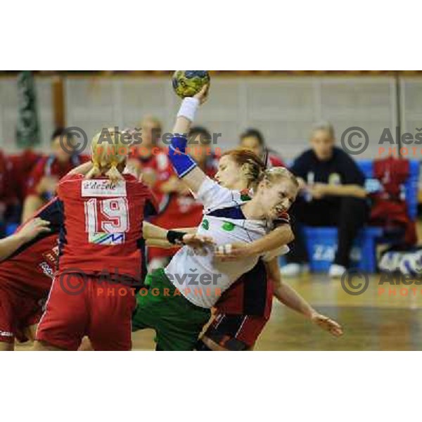 Skutnik at handball match RK Olimpija - ZRK Celje Celjske Mesnine, 15.11.2008 