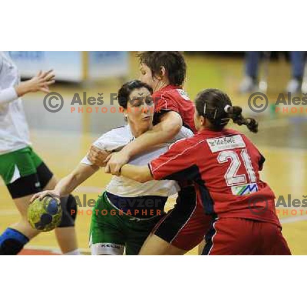 Jericek at handball match RK Olimpija - ZRK Celje Celjske Mesnine, 15.11.2008 