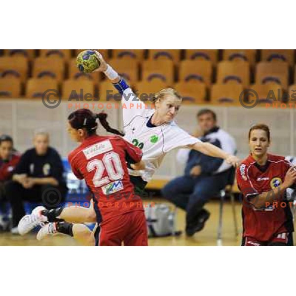 Skutnik at handball match RK Olimpija - ZRK Celje Celjske Mesnine, 15.11.2008 