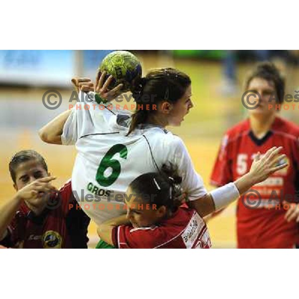 Gros at handball match RK Olimpija - ZRK Celje Celjske Mesnine, 15.11.2008 