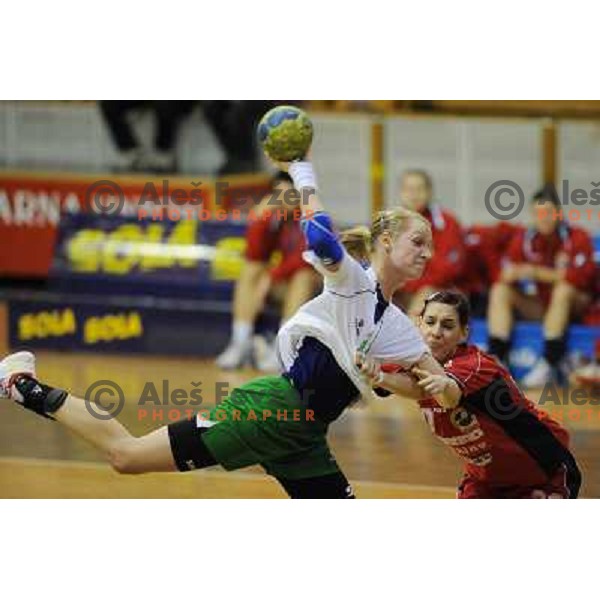 Skutnik at handball match RK Olimpija - ZRK Celje Celjske Mesnine, 15.11.2008 