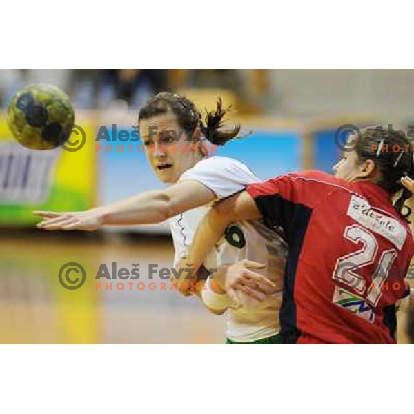 Gros at handball match RK Olimpija - ZRK Celje Celjske Mesnine, 15.11.2008 