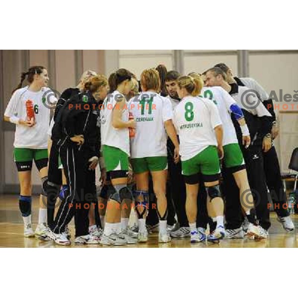 Rk Olimpija at handball match RK Olimpija - ZRK Celje Celjske Mesnine, 15.11.2008 